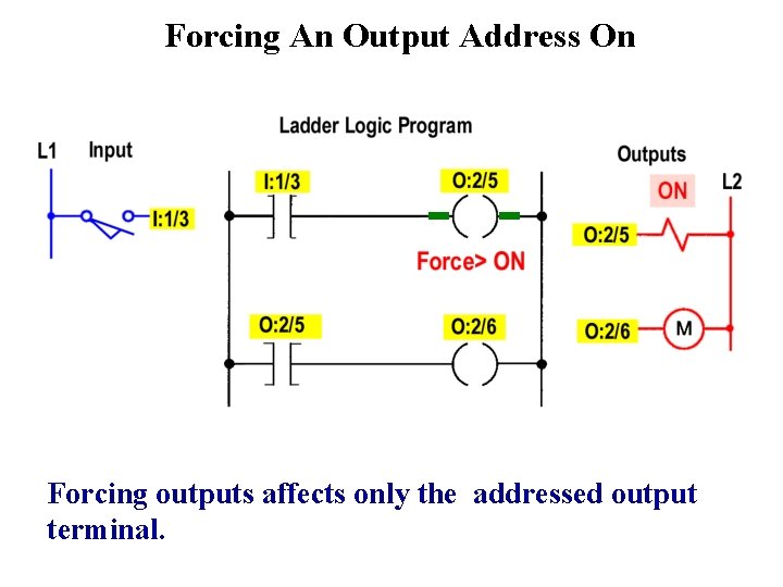 Forcing An Output Address On Forcing outputs affects only the addressed output terminal. 