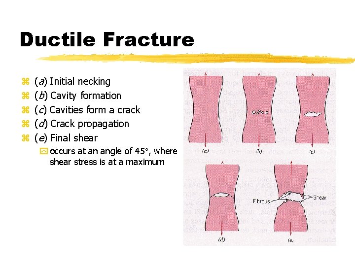 Ductile Fracture z z z (a) Initial necking (b) Cavity formation (c) Cavities form