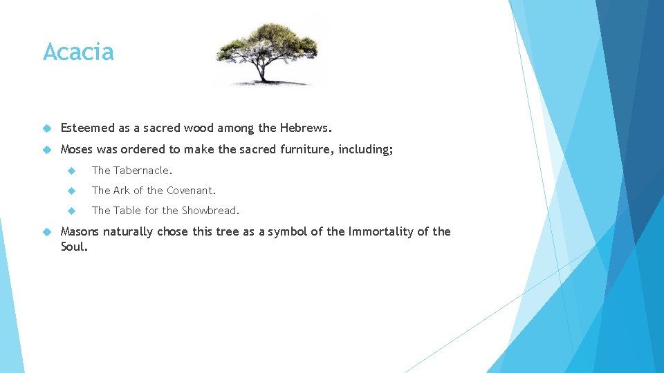 Acacia Esteemed as a sacred wood among the Hebrews. Moses was ordered to make