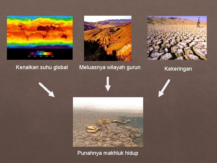 Kenaikan suhu global Meluasnya wilayah gurun Punahnya makhluk hidup Kekeringan 