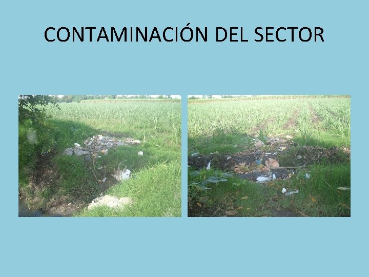 CONTAMINACIÓN DEL SECTOR 