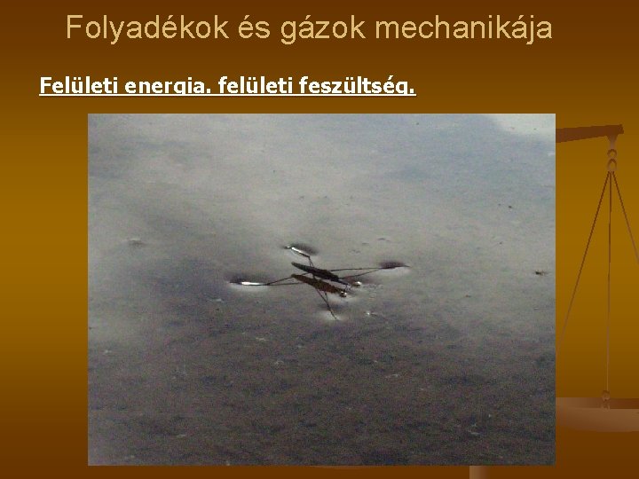 Folyadékok és gázok mechanikája Felületi energia. felületi feszültség. 