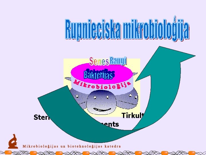 Sterilitāte Tīrkultūra Eksperiments 