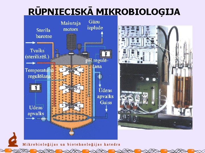 RŪPNIECISKĀ MIKROBIOLOĢIJA 