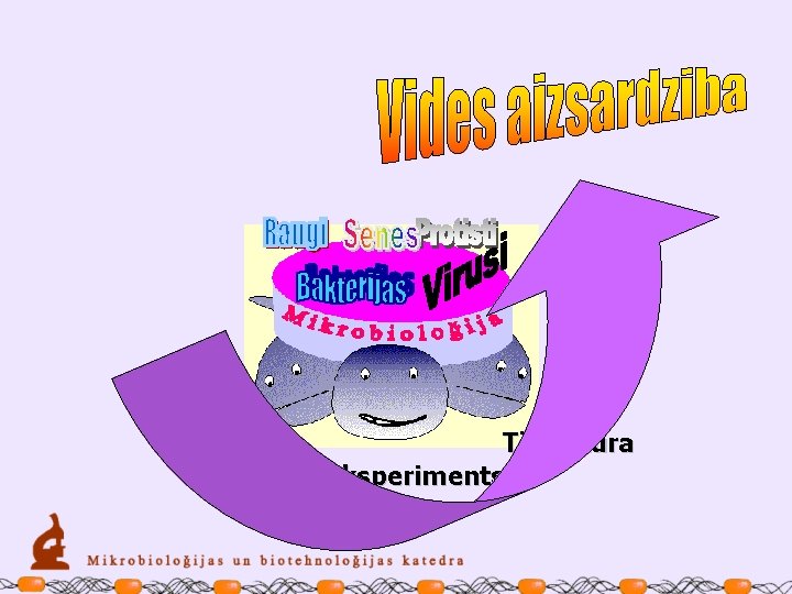 Sterilitāte Tīrkultūra Eksperiments 