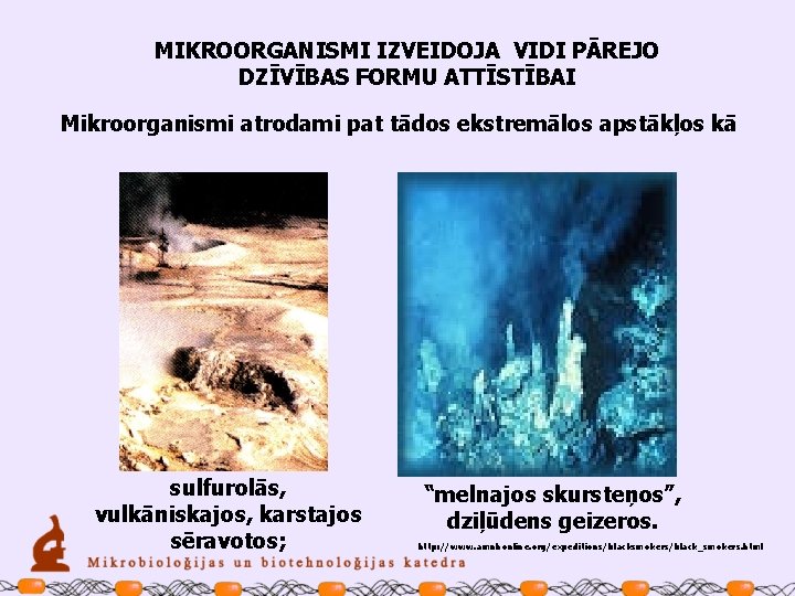 MIKROORGANISMI IZVEIDOJA VIDI PĀREJO DZĪVĪBAS FORMU ATTĪSTĪBAI Mikroorganismi atrodami pat tādos ekstremālos apstākļos kā