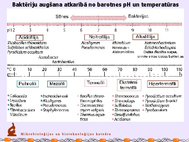 Baktēriju augšana atkarībā no barotnes p. H un temperatūras 