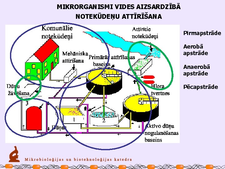 MIKRORGANISMI VIDES AIZSARDZĪBĀ NOTEKŪDEŅU ATTĪRĪŠANA Pirmapstrāde Aerobā apstrāde Anaerobā apstrāde Pēcapstrāde 