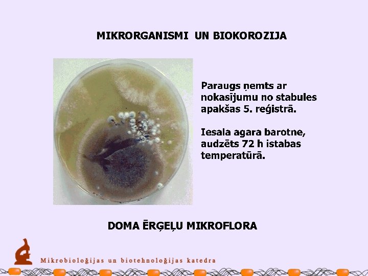 MIKRORGANISMI UN BIOKOROZIJA DOMA ĒRĢEĻU MIKROFLORA 