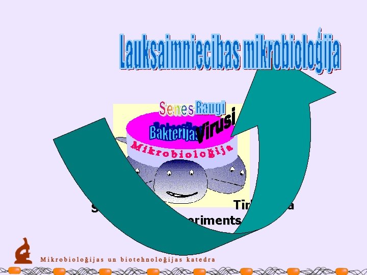 Sterilitāte Tīrkultūra Eksperiments 