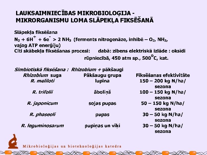 LAUKSAIMNIECĪBAS MIKROBIOLOĢIJA MIKRORGANISMU LOMA SLĀPEKĻA FIKSĒŠANĀ 