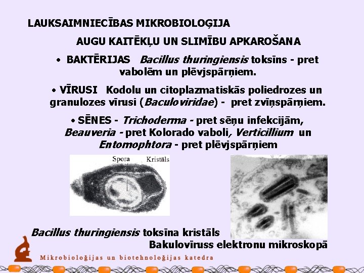 LAUKSAIMNIECĪBAS MIKROBIOLOĢIJA AUGU KAITĒKĻU UN SLIMĪBU APKAROŠANA • BAKTĒRIJAS Bacillus thuringiensis toksīns - pret