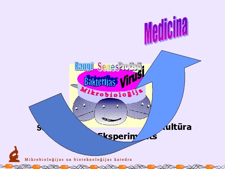 Sterilitāte Tīrkultūra Eksperiments 
