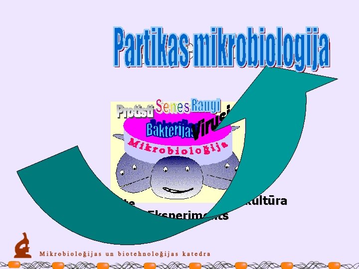 Sterilitāte Tīrkultūra Eksperiments 