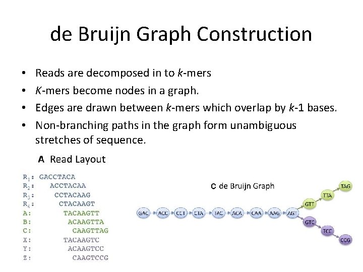 de Bruijn Graph Construction • • Reads are decomposed in to k-mers K-mers become