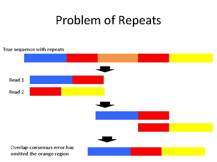 Problem of Repeats True sequence with repeats Read 1 Read 2 Overlap-consensus error has