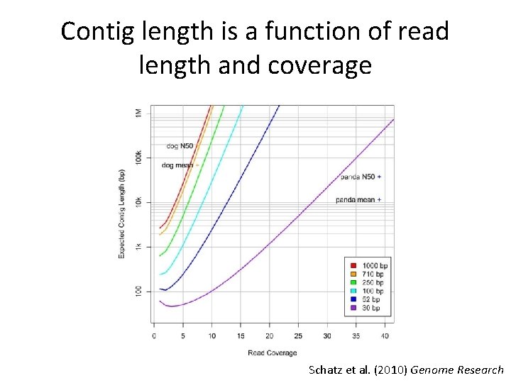 Contig length is a function of read length and coverage Schatz et al. (2010)