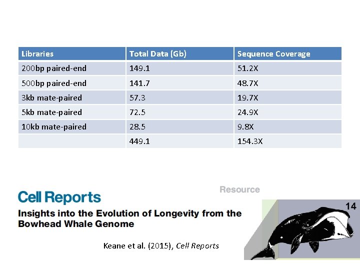 Libraries Total Data (Gb) Sequence Coverage 200 bp paired-end 149. 1 51. 2 X