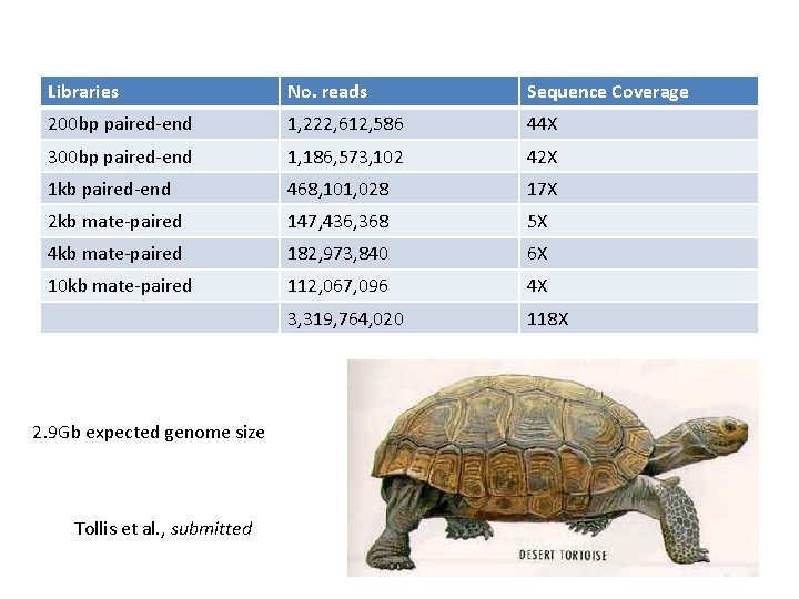 Libraries No. reads Sequence Coverage 200 bp paired-end 1, 222, 612, 586 44 X