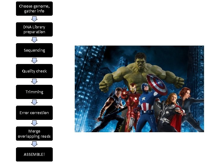 Choose genome, gather info DNA Library preparation Sequencing Quality check Trimming Error correction Merge