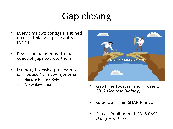 Gap closing • Every time two contigs are joined on a scaffold, a gap