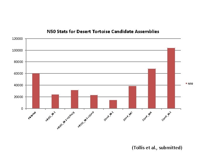 N 50 Stats for Desert Tortoise Candidate Assemblies 120000 100000 80000 60000 N 50