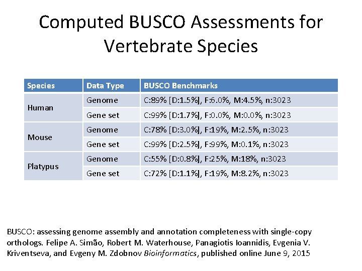 Computed BUSCO Assessments for Vertebrate Species Human Mouse Platypus Data Type BUSCO Benchmarks Genome