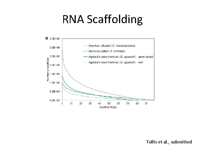 RNA Scaffolding Tollis et al. , submitted 