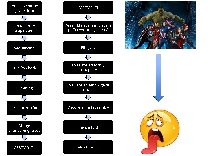 Choose genome, gather info ASSEMBLE! DNA Library preparation Assemble again and again (different tools,