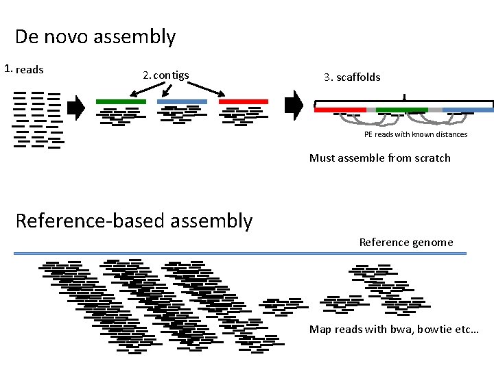 De Novo Genome Assembly Using Next Generation Sequence