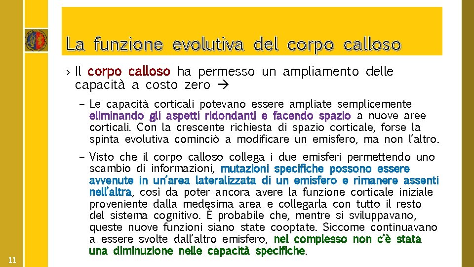 La funzione evolutiva del corpo calloso › Il corpo calloso ha permesso un ampliamento