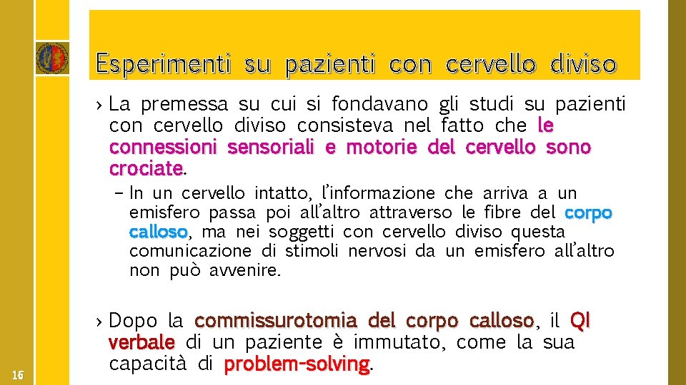 Esperimenti su pazienti con cervello diviso › La premessa su cui si fondavano gli