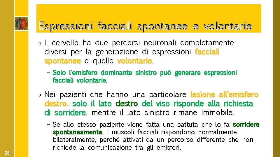 Espressioni facciali spontanee e volontarie › Il cervello ha due percorsi neuronali completamente diversi