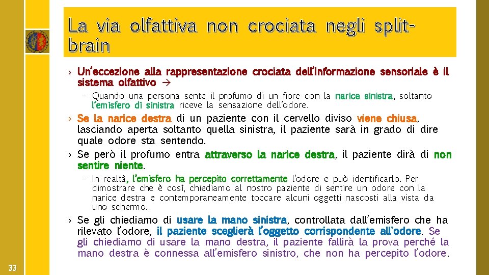 La via olfattiva non crociata negli splitbrain › Un’eccezione alla rappresentazione crociata dell’informazione sensoriale