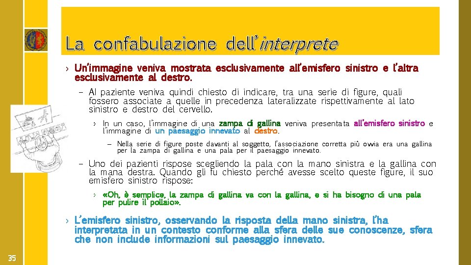 La confabulazione dell’interprete › Un’immagine veniva mostrata esclusivamente all’emisfero sinistro e l’altra esclusivamente al