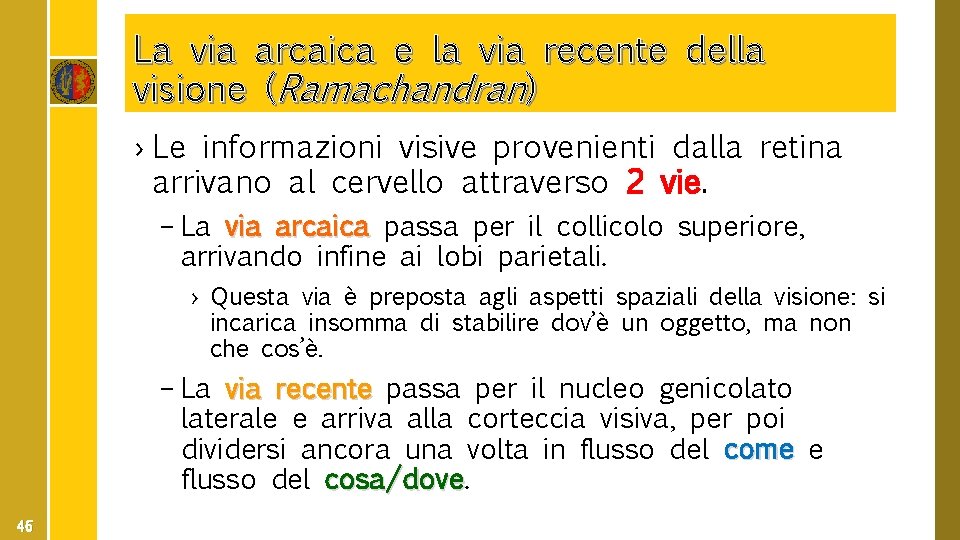 La via arcaica e la via recente della visione (Ramachandran) › Le informazioni visive