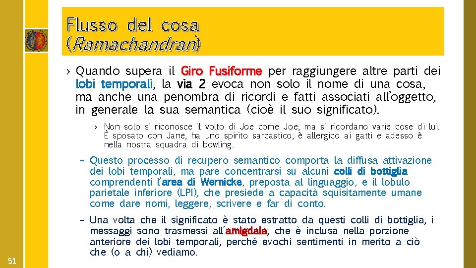 Flusso del cosa (Ramachandran) › Quando supera il Giro Fusiforme per raggiungere altre parti