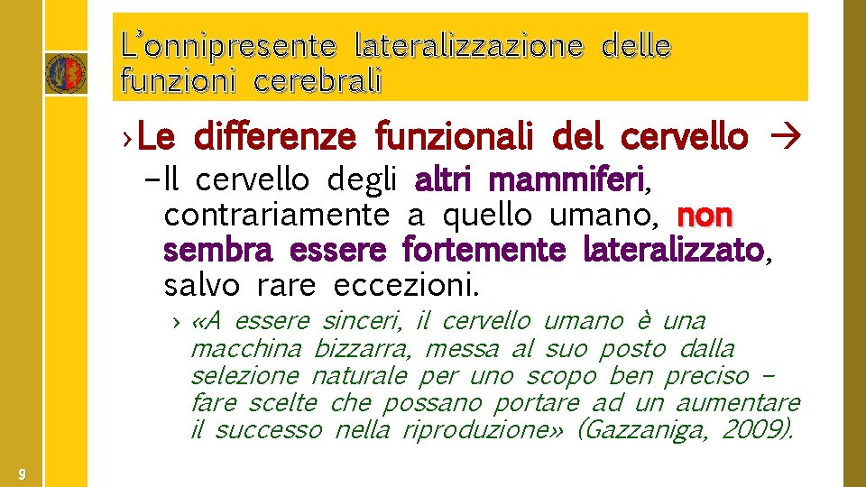 L’onnipresente lateralizzazione delle funzioni cerebrali › Le differenze funzionali del cervello – Il cervello