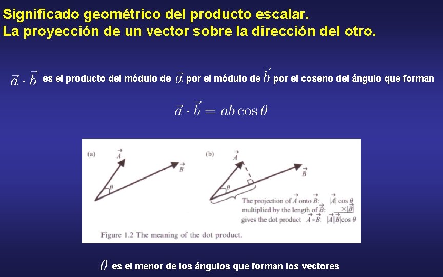 Significado geométrico del producto escalar. La proyección de un vector sobre la dirección del