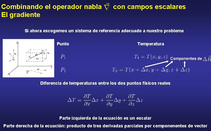 Combinando el operador nabla El gradiente con campos escalares Si ahora escogemos un sistema