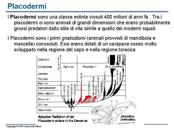 Placodermi I Placodermi sono una classe estinta vissuti 400 milioni di anni fa. Tra