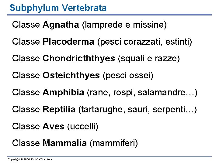 Subphylum Vertebrata Classe Agnatha (lamprede e missine) Classe Placoderma (pesci corazzati, estinti) Classe Chondricththyes