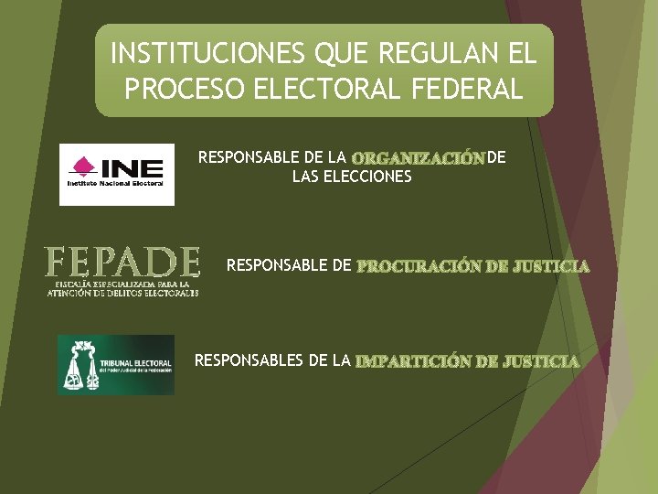 INSTITUCIONES QUE REGULAN EL PROCESO ELECTORAL FEDERAL RESPONSABLE DE LA ORGANIZACIÓN DE LAS ELECCIONES