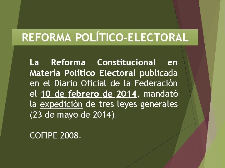 REFORMA POLÍTICO-ELECTORAL La Reforma Constitucional en Materia Político Electoral publicada en el Diario Oficial