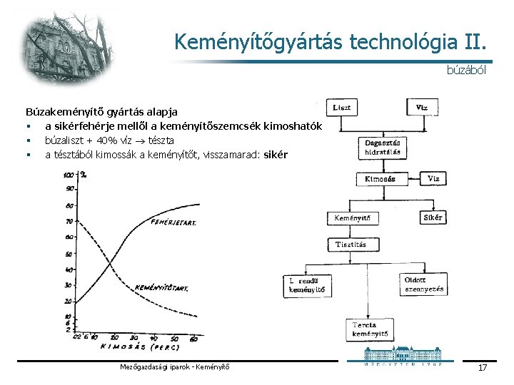 Keményítőgyártás technológia II. búzából Búzakeményítő gyártás alapja § a sikérfehérje mellől a keményítőszemcsék kimoshatók