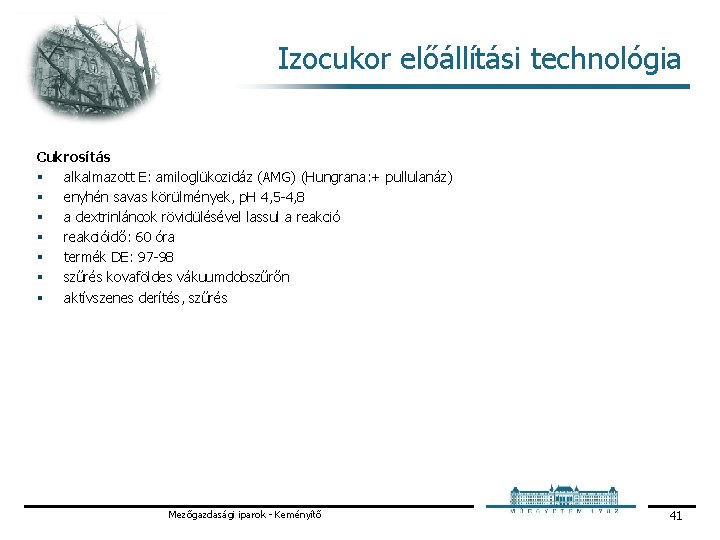 Izocukor előállítási technológia Cukrosítás § alkalmazott E: amiloglükozidáz (AMG) (Hungrana: + pullulanáz) § enyhén