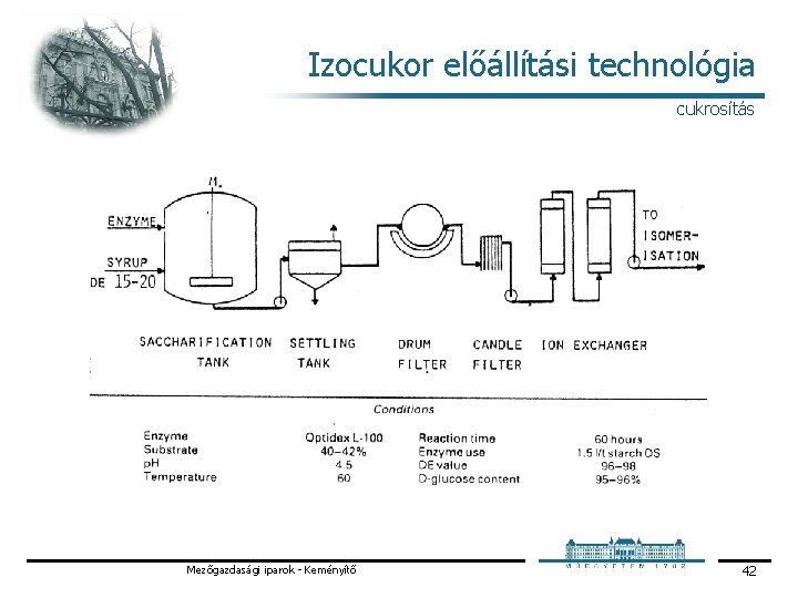 Izocukor előállítási technológia cukrosítás Mezőgazdasági iparok Keményítő 42 