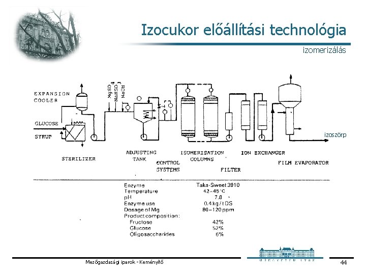 Izocukor előállítási technológia izomerizálás izoszörp Mezőgazdasági iparok Keményítő 44 