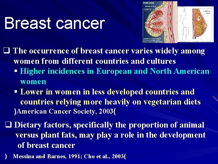 Breast cancer q The occurrence of breast cancer varies widely among women from different