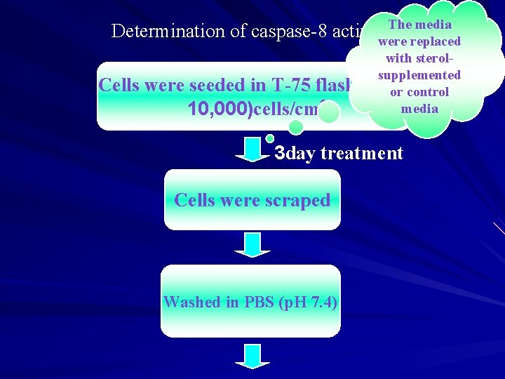The media Determination of caspase-8 activity were replaced Cells were seeded in T-75 flasks;